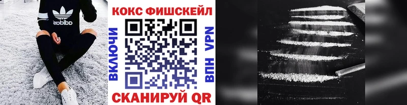 Купить закладки  Завитинск  КОКАИН Эквадор 