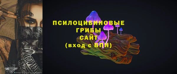 дживик Кинешма