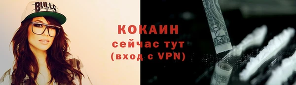 гидра Тайга