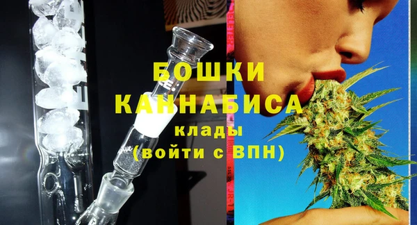 дживик Кинешма