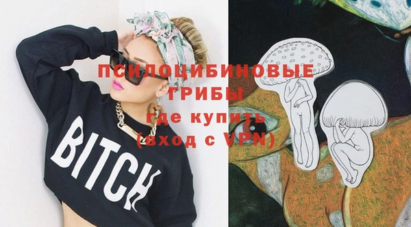 дживик Кинешма