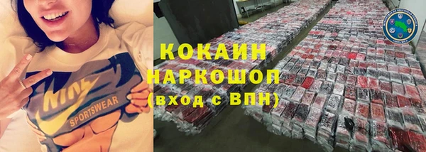 дживик Кинешма