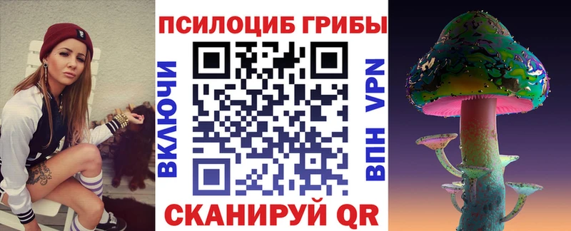 Купить  Завитинск  Псилоцибиновые грибы Magic Shrooms 